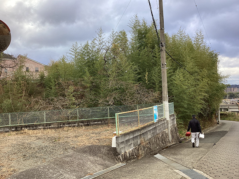 兵庫県川西市　個人邸　竹藪の伐採（タケ、クリ、カキ、その他）