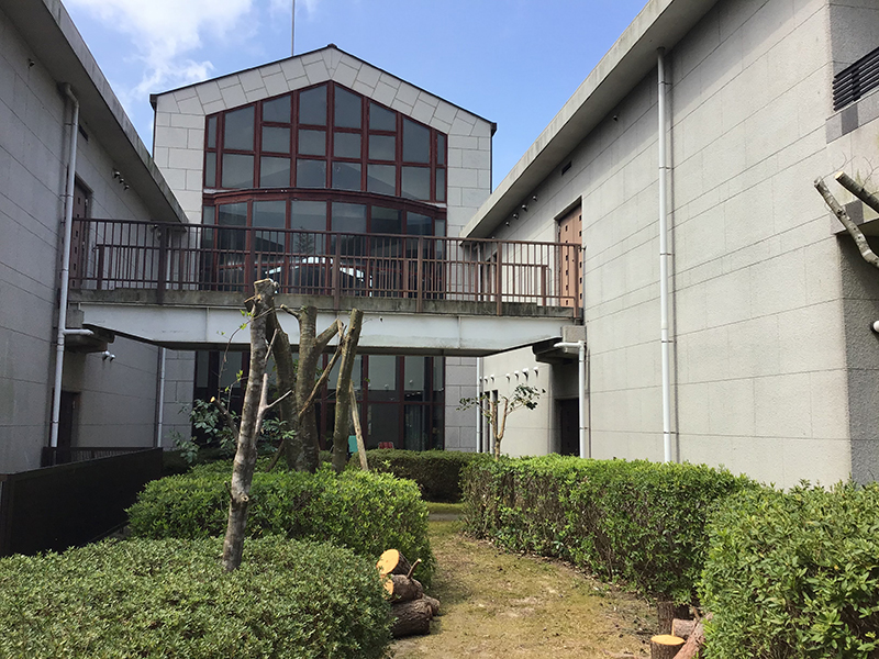 兵庫県宝塚市　福祉施設　中庭の木の強剪定