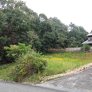 兵庫県吉川町　個人宅　ソーラーパネルを設置のための伐採