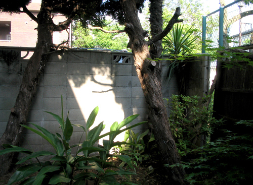 兵庫県西宮市　個人邸　老朽化して危険なブロック塀をウッドフェンスに改修