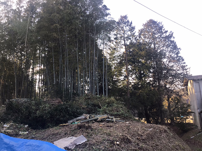 兵庫県宝塚市　個人邸　竹藪・シュロの伐採
