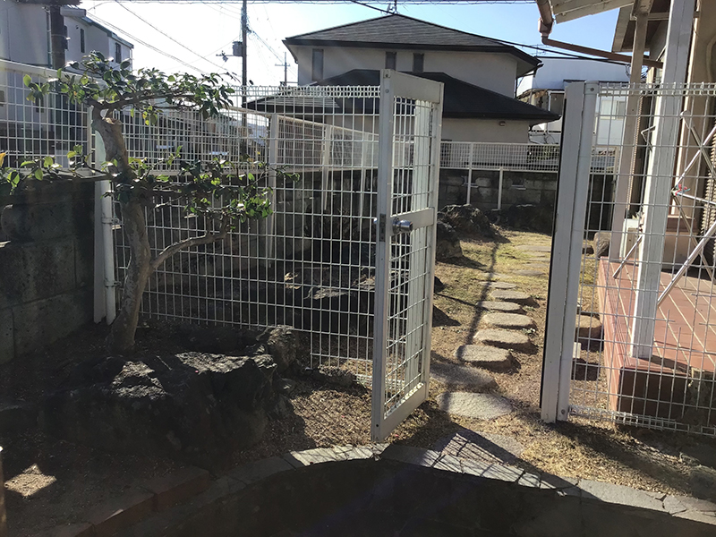 兵庫県川西市　個人邸　クロガネモチ（黒鉄黐）、サルスベリ（百日紅）などの伐採・強剪定