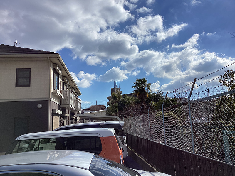 兵庫県尼崎市　個人邸　越境しそうな木・植物の伐採　フジ（藤）、キンモクセイ（金木犀）など