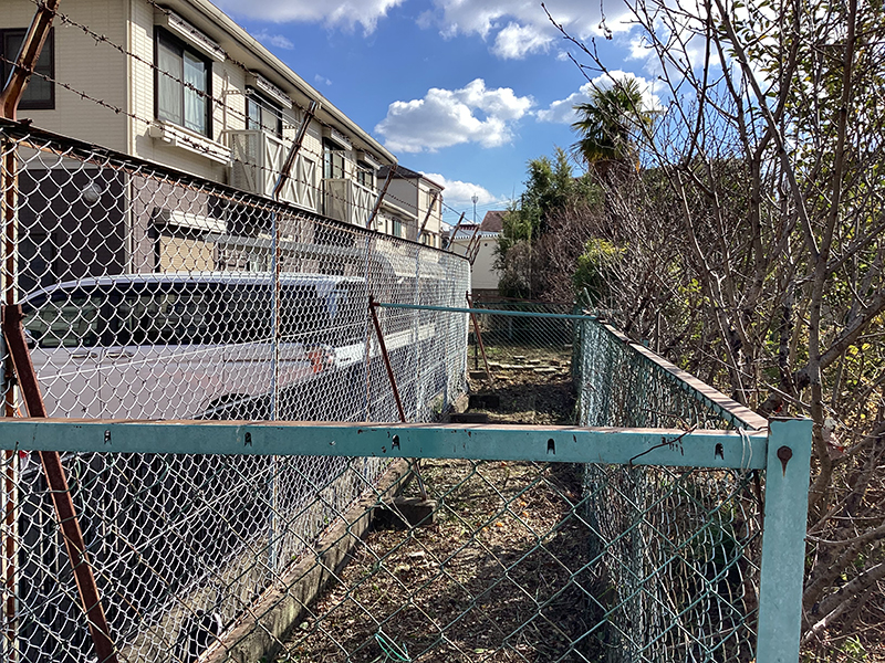 兵庫県尼崎市　個人邸　越境しそうな木・植物の伐採　フジ（藤）、キンモクセイ（金木犀）など
