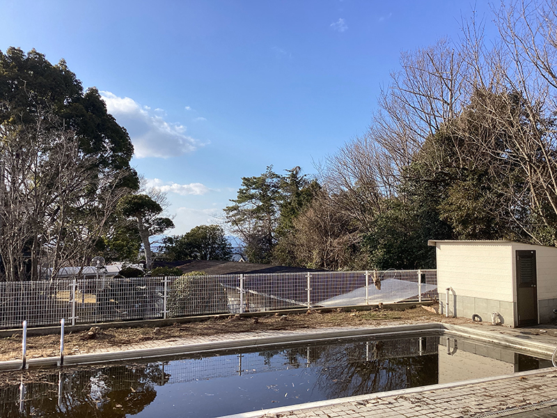 兵庫県神戸市北区　個人邸　シュウロウ、ニセアカシアの伐採