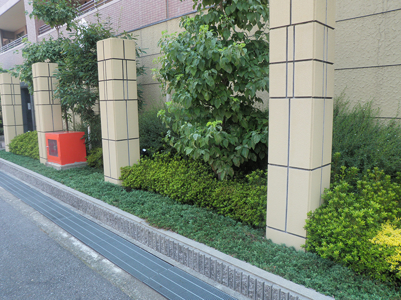 兵庫県宝塚市　マンション　フィリフェラオーレア、低木の剪定