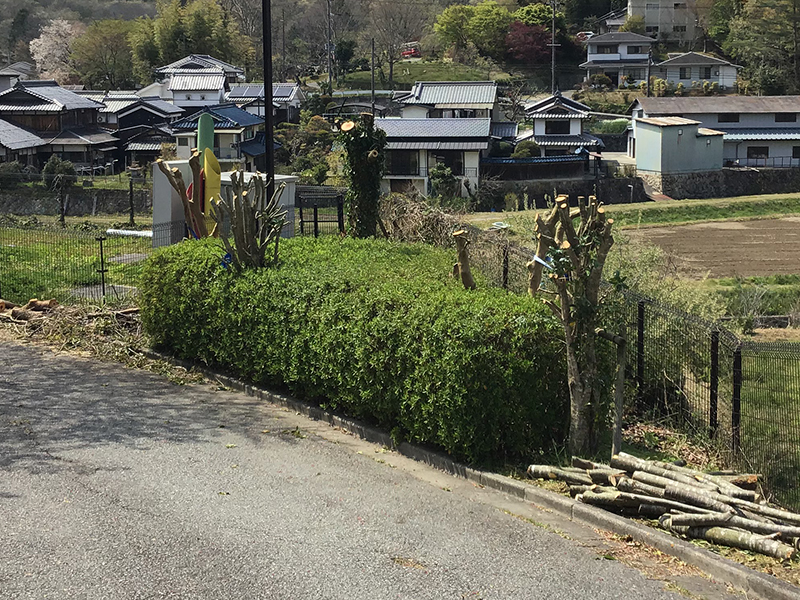 兵庫県宝塚市　福祉施設　通路脇の木の強剪定