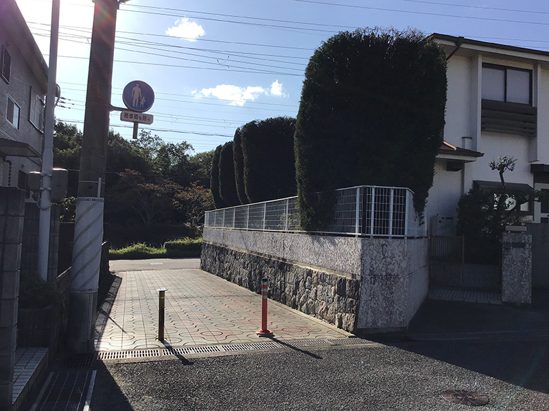 兵庫県三田市　個人邸　デイランディーヒノキの強剪定