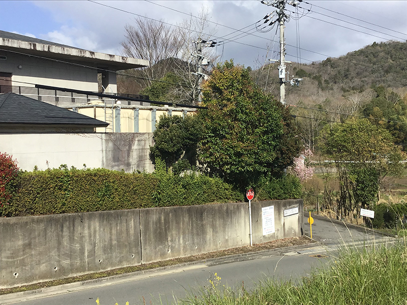 兵庫県宝塚市　福祉施設　建物の入口の木の強剪定