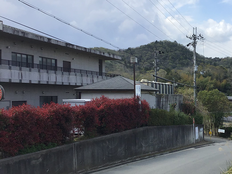 兵庫県宝塚市　福祉施設　建物の入口の木の強剪定