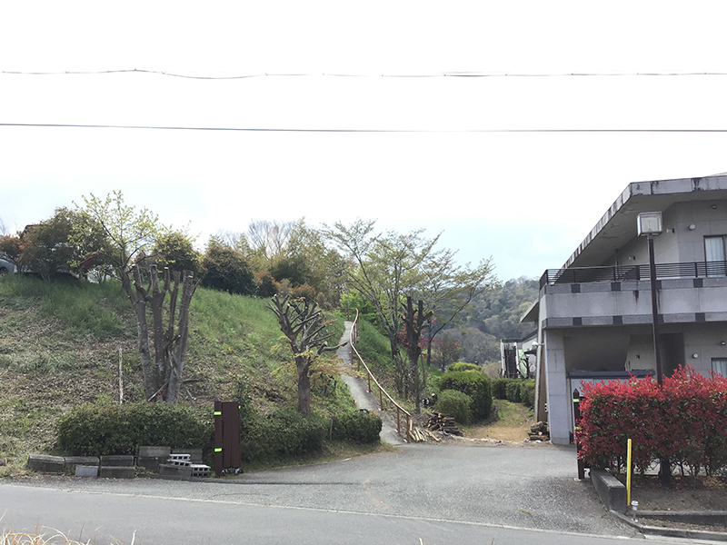 兵庫県宝塚市　福祉施設　施設通用門周辺の木の強剪定