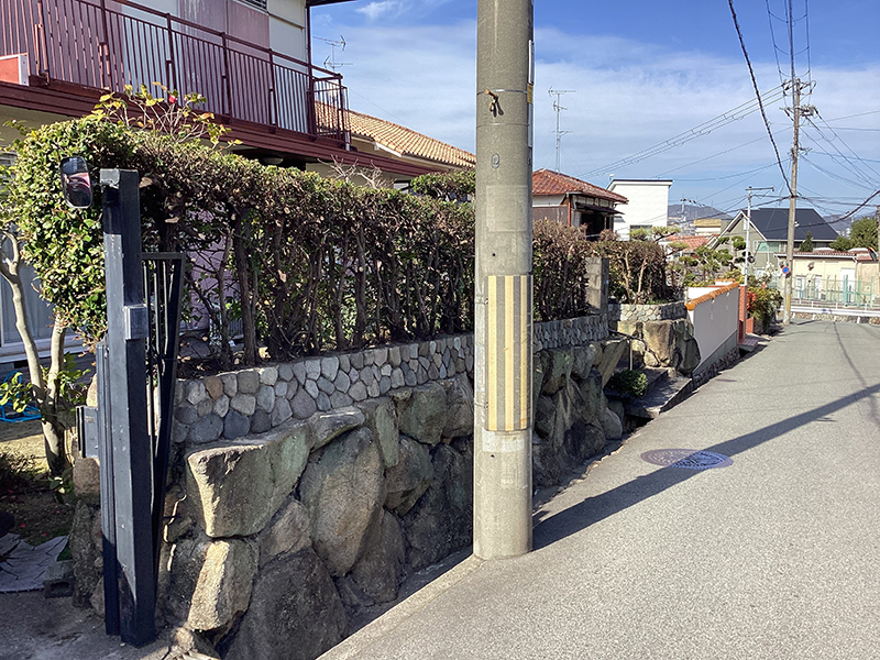 兵庫県宝塚市　個人邸　ウバメガシ（馬目樫・姥目樫）の生垣の強剪定