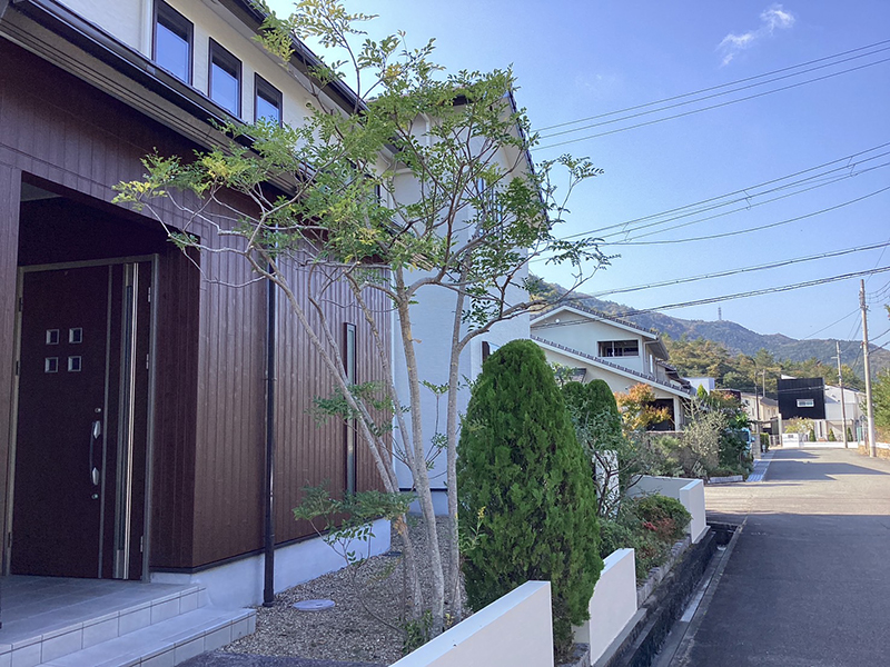 兵庫県西宮市　個人邸　庭の木々の剪定　キンモクセイ（金木犀）、シマトネリコ（島唐辛子）、コノテヒバ（児手檜葉）など