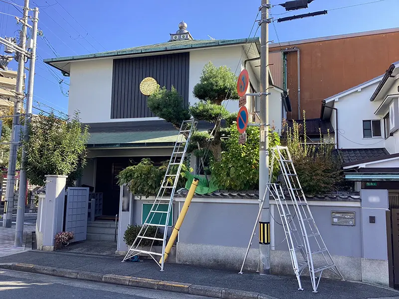 兵庫県宝塚市 神社 境内 クスノキ 強剪定作業前の様子