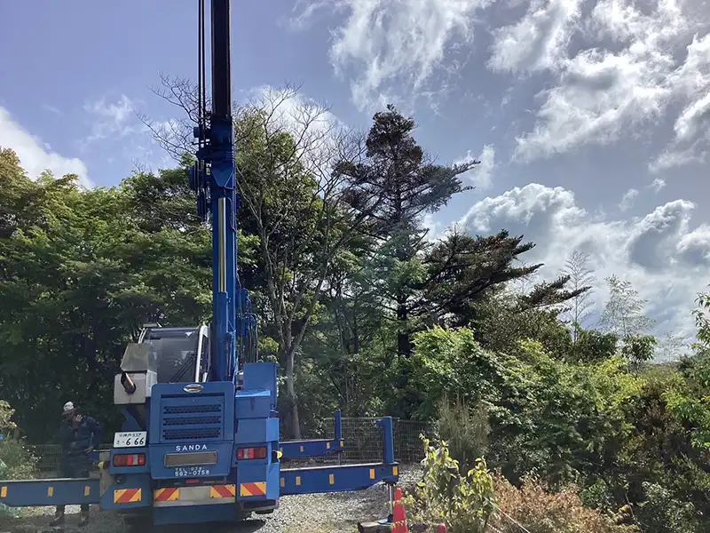 兵庫県西宮市　店舗　有馬　エレ・モンターニュ様　倒木などの被害を予防するための強剪定作業