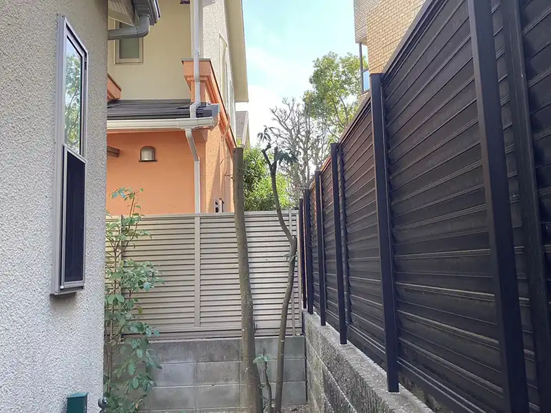 兵庫県宝塚市　個人邸　カシ（樫）の木の強剪定