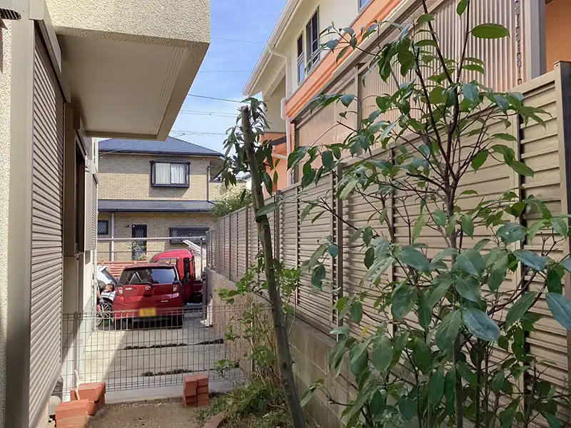 兵庫県宝塚市　個人邸　カシ（樫）の木の強剪定