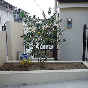 兵庫県宝塚市　個人宅　U様邸　フェイジョアの記念植樹