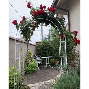 兵庫県宝塚市　個人邸　ローズアーチのメンテナンス