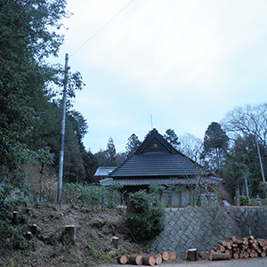 兵庫県宝塚市西谷　個人宅　ヒノキ（桧）の伐採
