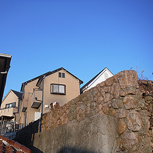 兵庫県西宮市　個人宅　庭・石垣の植物の伐採