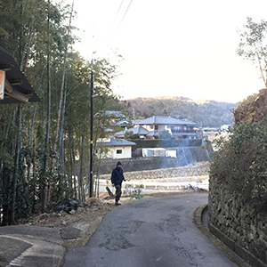 兵庫県宝塚市　個人邸　道路の両側から生えている植物の伐採