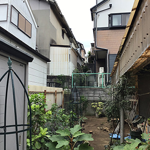兵庫県神戸市　個人邸　重機を使わない人力での特殊伐採