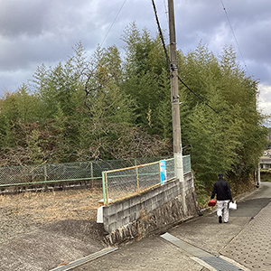 兵庫県川西市　個人邸　竹藪の伐採（タケ、クリ、カキ、その他）