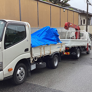 兵庫県西宮市　関西から関東へ樹木の移植のための根巻き作業