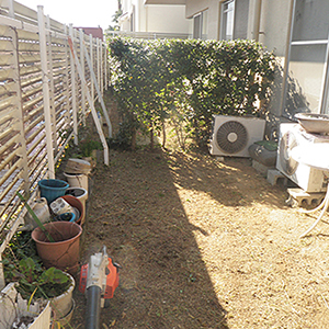 兵庫県西宮市　マンション　お庭の年間管理　敷地内樹木の剪定