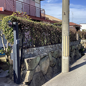 兵庫県宝塚市　個人邸　ウバメガシ（馬目樫・姥目樫）の生垣の強剪定