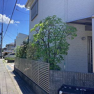 兵庫県宝塚市　個人邸　庭の樹々の剪定
