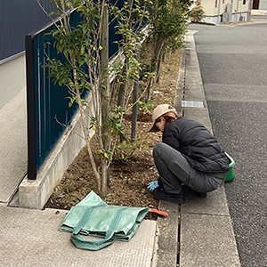 大阪府箕面市　医院　植栽スペースの手引き除草