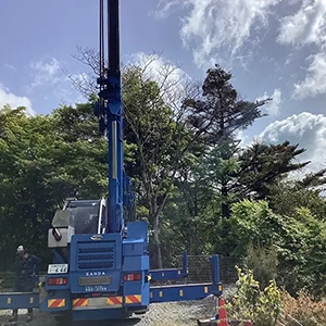 兵庫県西宮市　店舗　有馬　エレ・モンターニュ様　倒木などの被害を予防するための強剪定作業